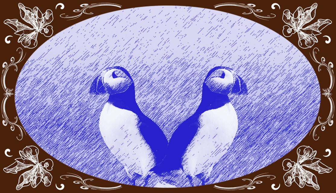 inawilderworld animation for white on wood website