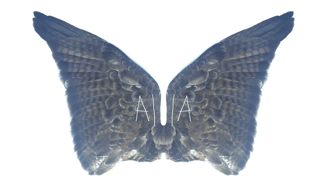 inawilderworld animation for alula