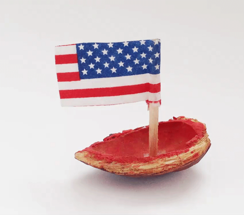 INAWILDERWORLD_Land Ahoy.gif