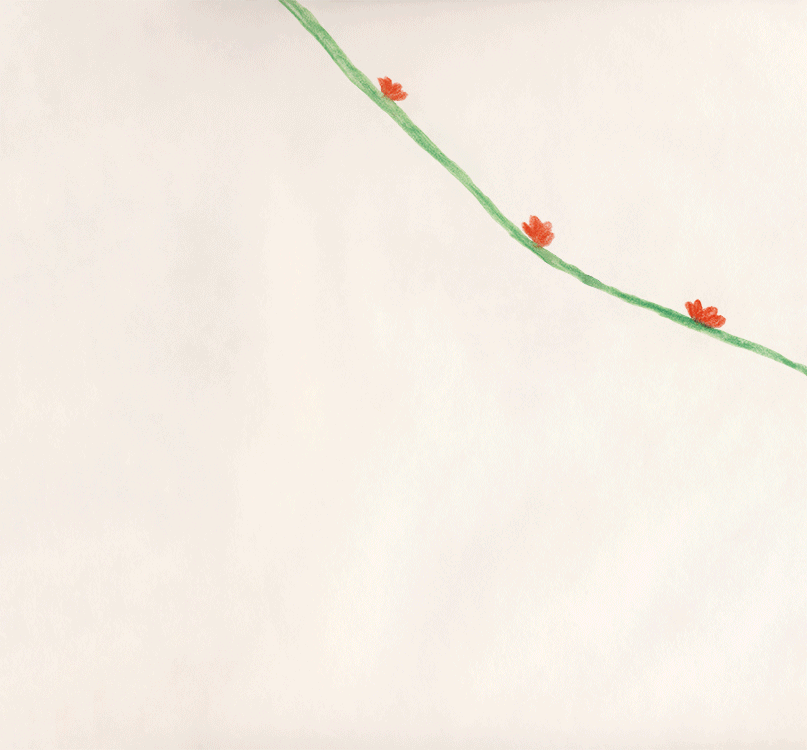 INAWILDERWORLD_Monkey Business.gif