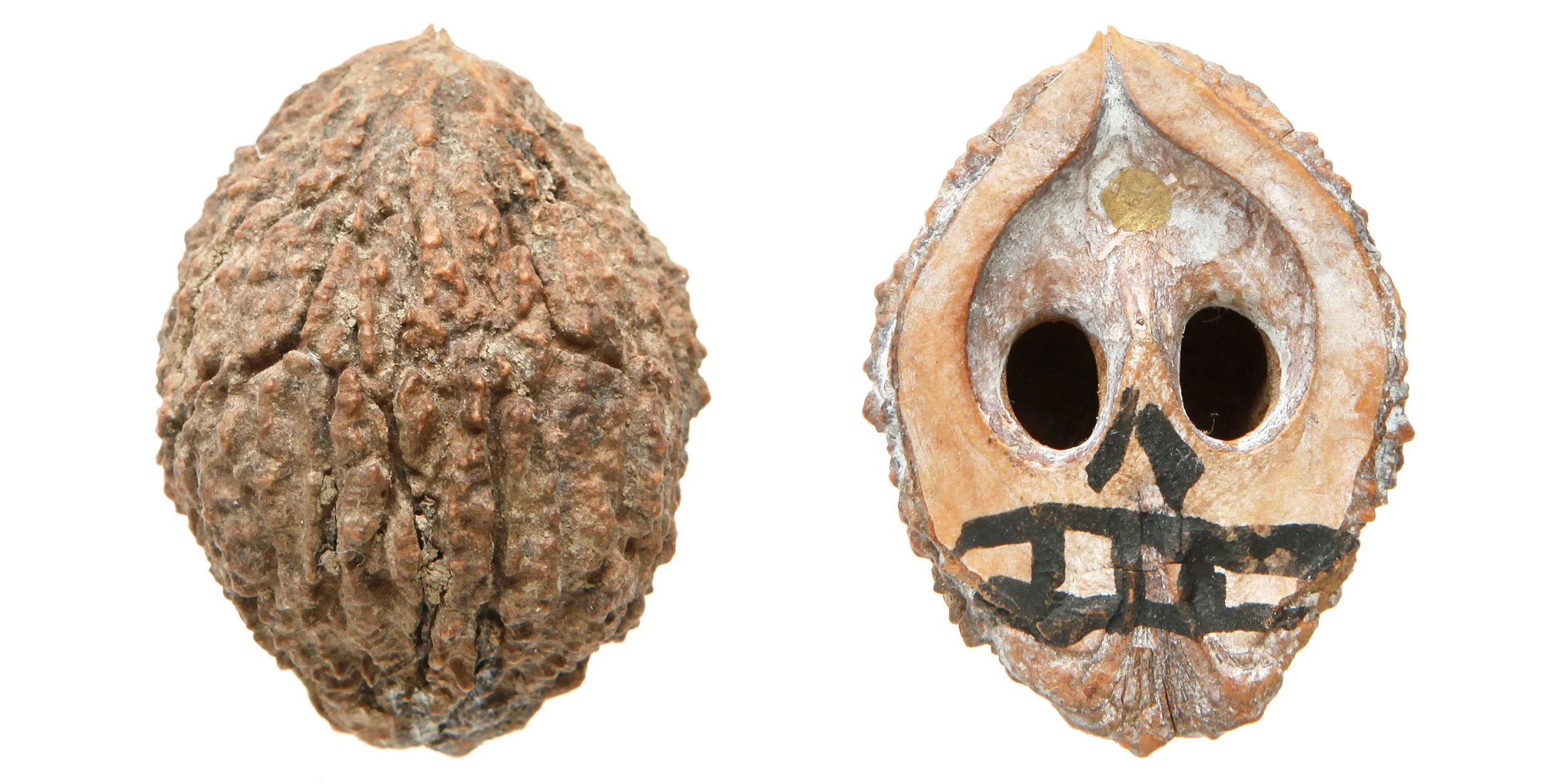 INAWILDERWORLD_Skulls-2.jpg