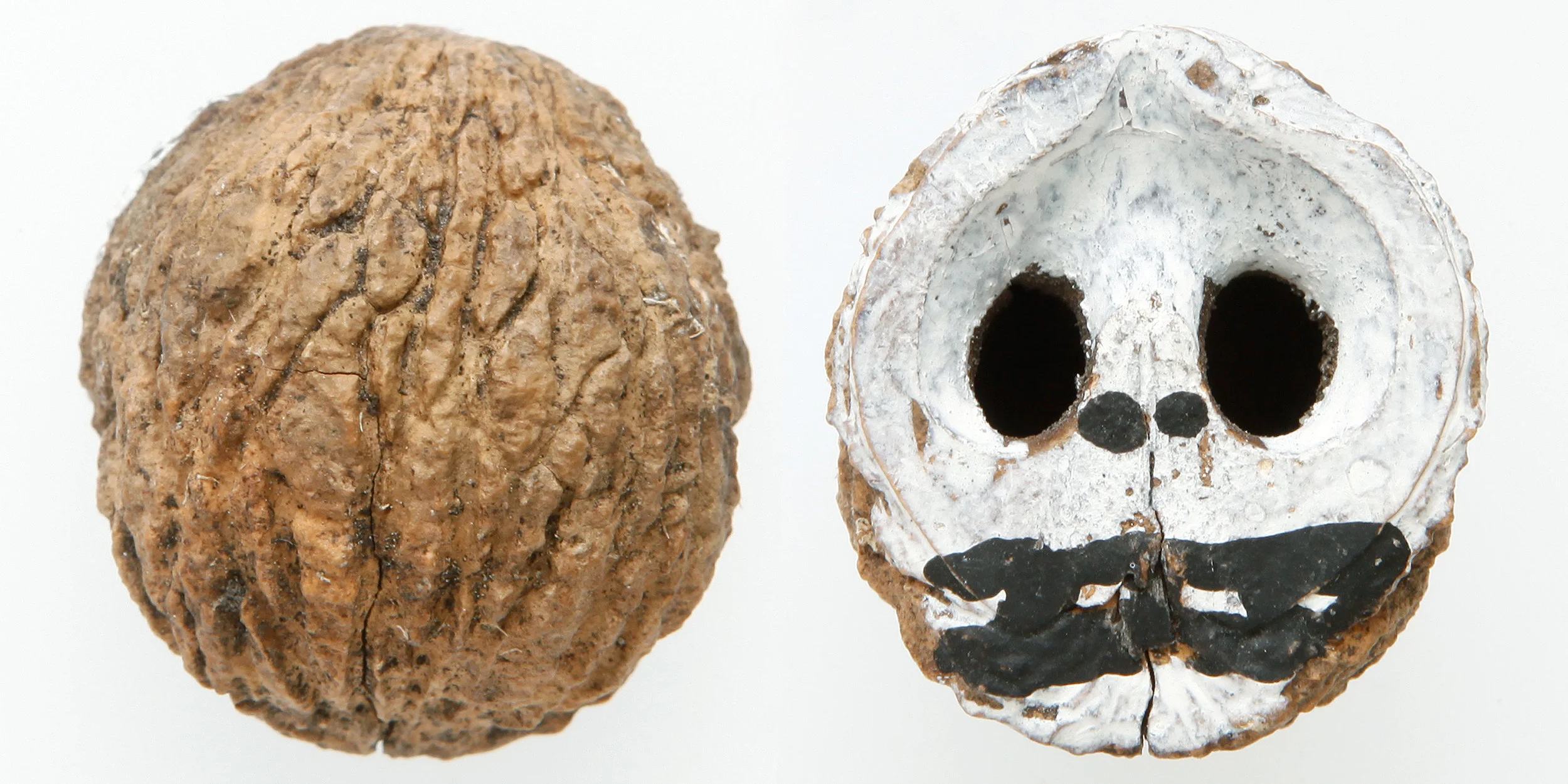 INAWILDERWORLD_Skulls-12.jpg