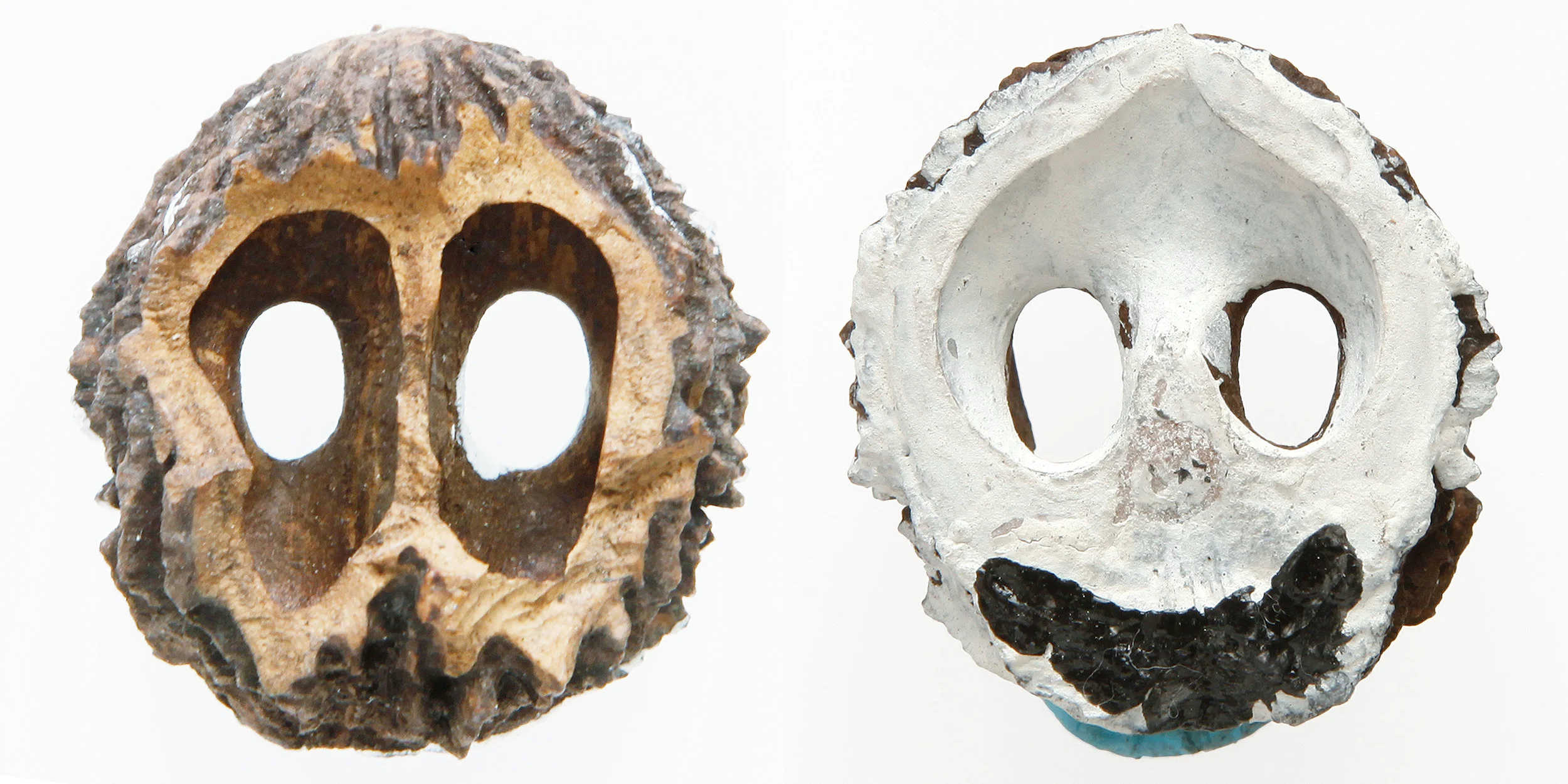 INAWILDERWORLD_Skulls-32.jpg