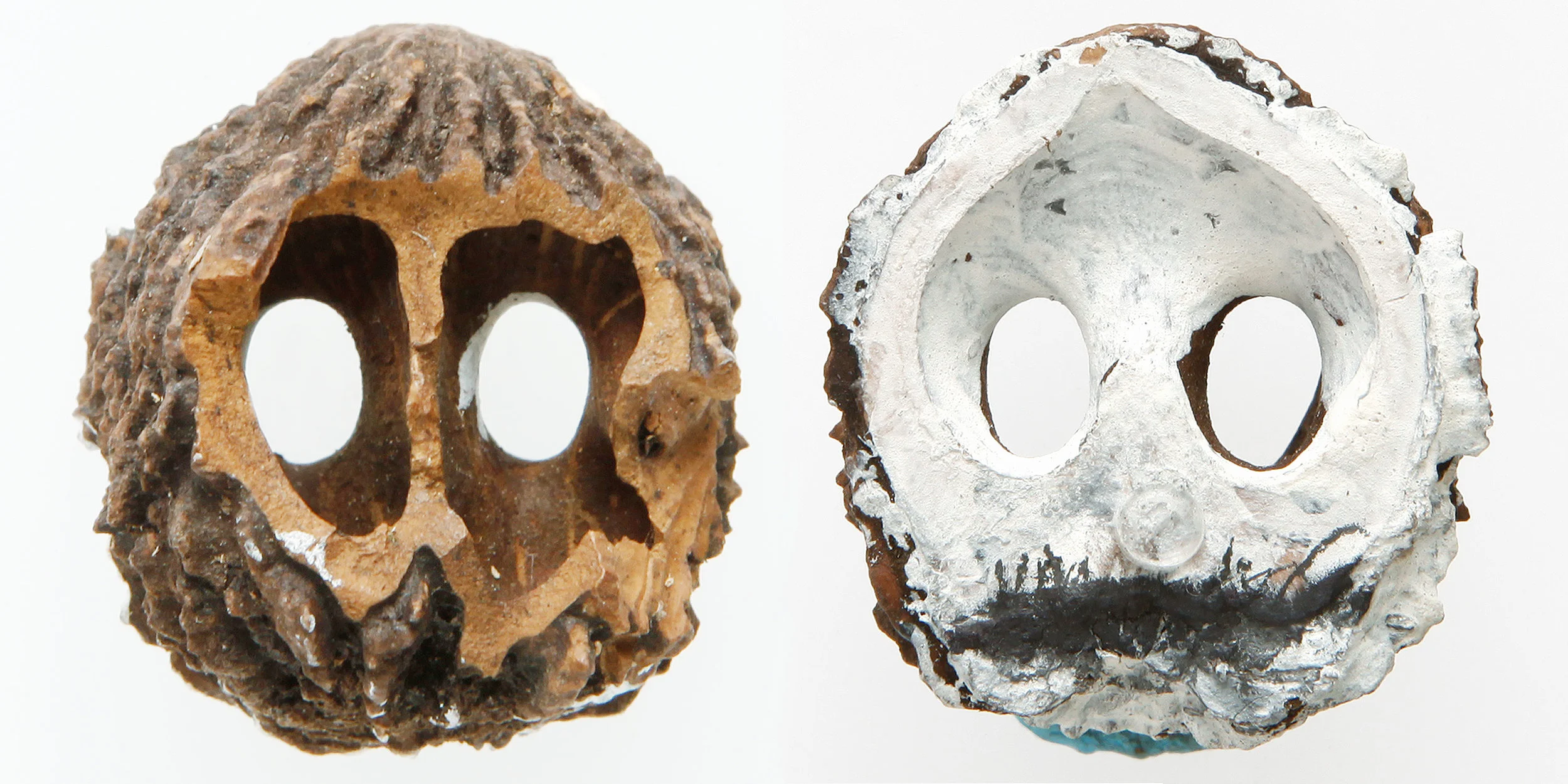 INAWILDERWORLD_Skulls-33.jpg