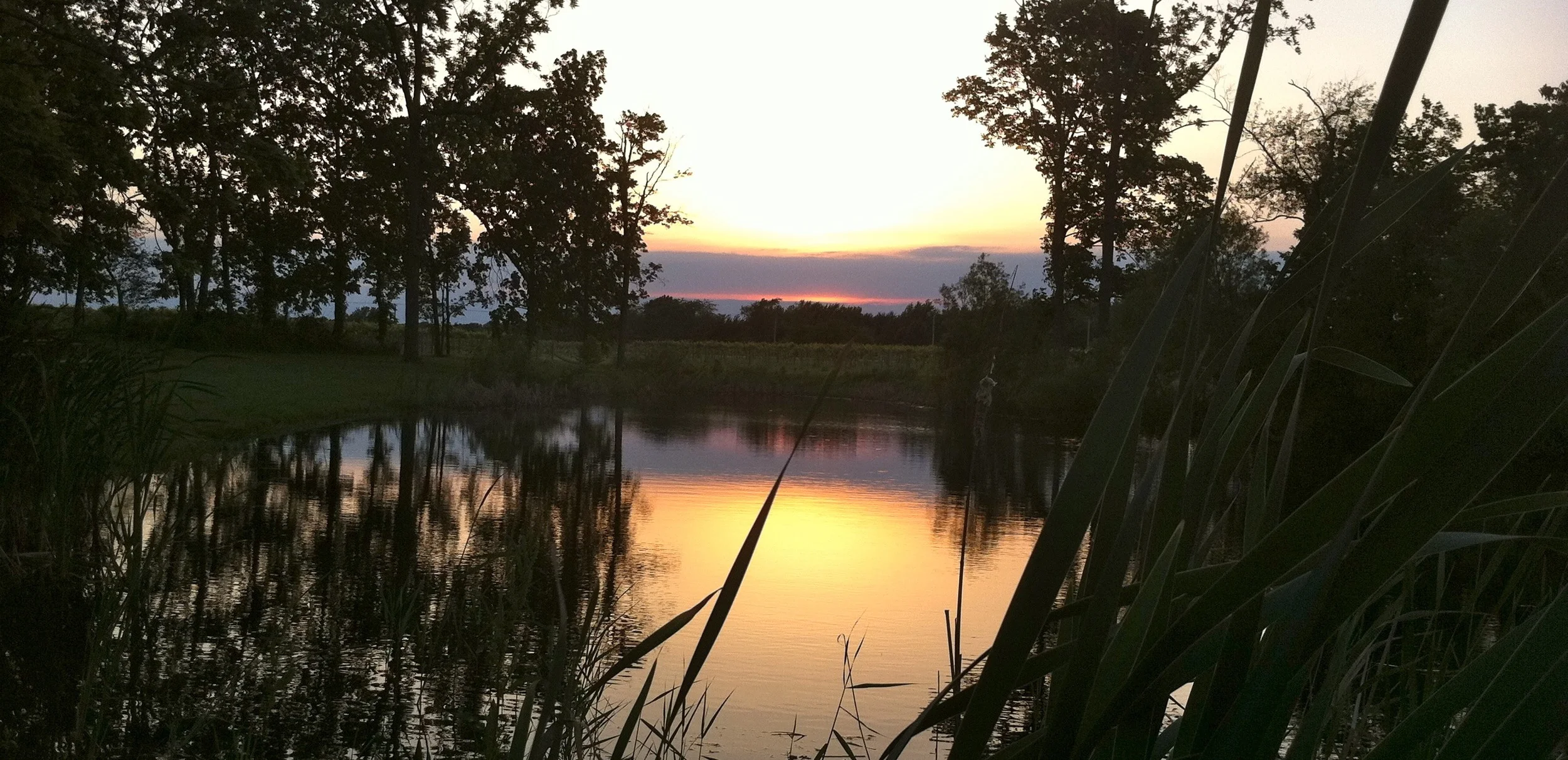Sunsets over the pond