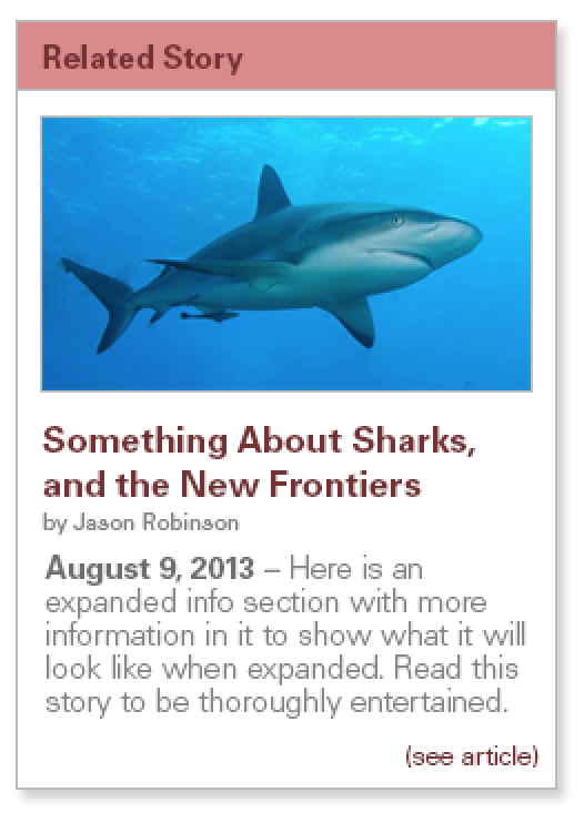 News Widget