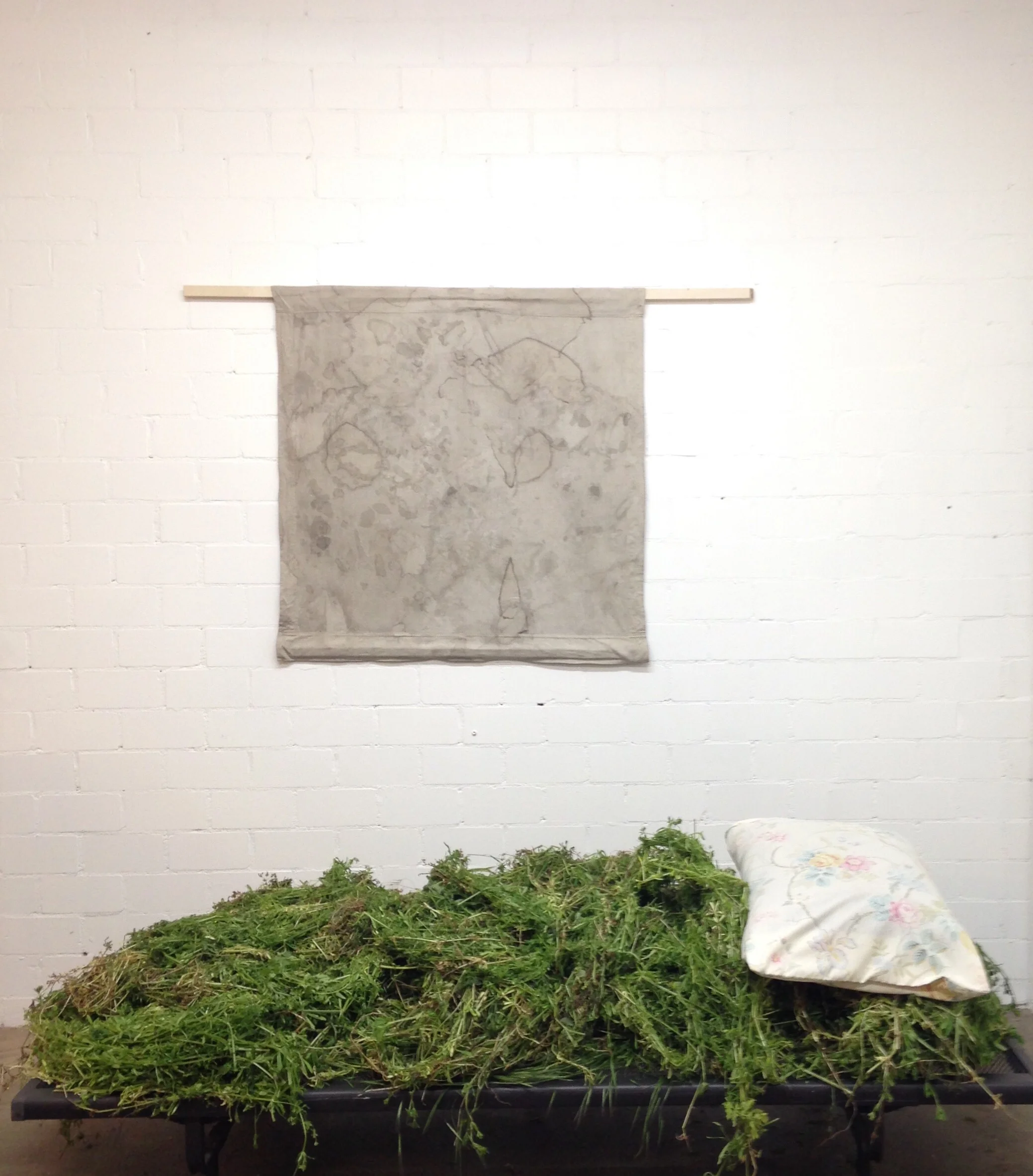  Bedstraw + Dream Collector&nbsp;  Collaboration with Artist Anne Mailey,&nbsp;variable dimensions  Nettle, galium aparine, linen tablecloth, IKEA bed 
