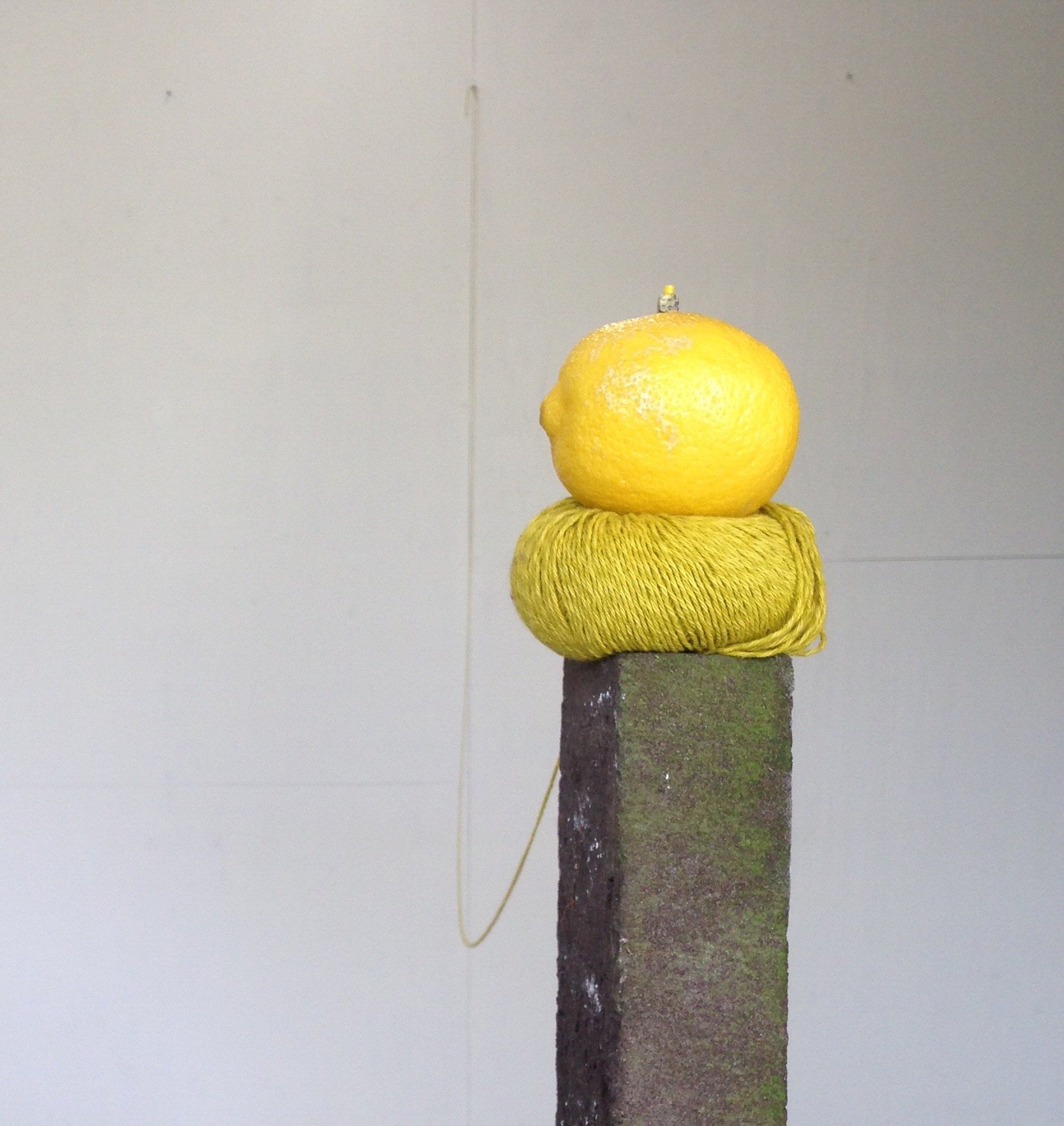 91C50E53-CEFF-458D-A302-B4475A9E32F5.jpeg