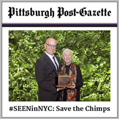 Pittsburgh Post-Gazette: Stream Line Circle