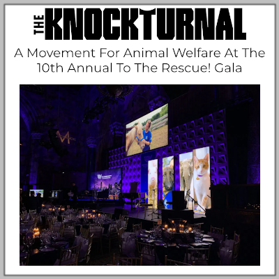 The Knockturnal: Ariana Rockefeller