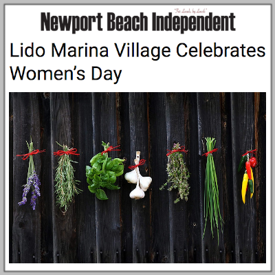 Newport Beach Independent: DJM Capital Partners