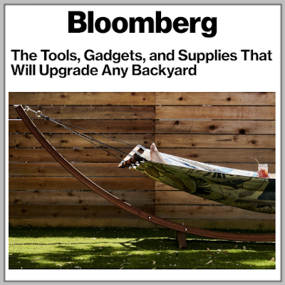 Bloomberg: Lumin