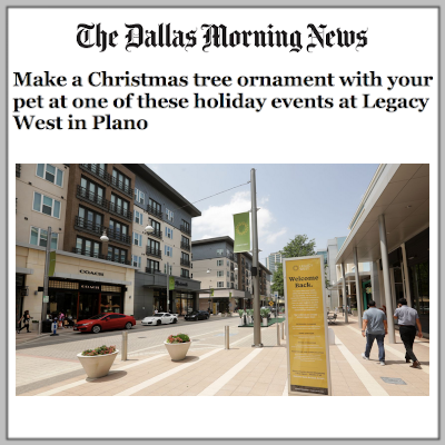 The Dallas Morning News: DJM Capital Partners