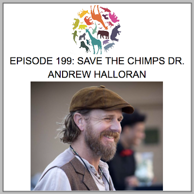 All Creatures Podcast: Save the Chimps