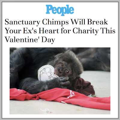 People: Save the Chimps