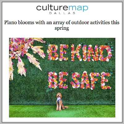 Culture Map Dallas: DJM Capital Partners
