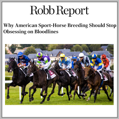 Robb Report: Hannah Selleck