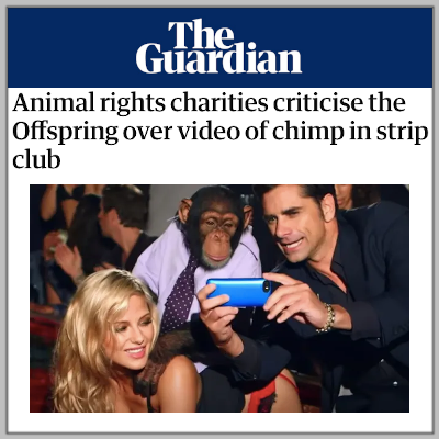 The Guardian: Save the Chimps