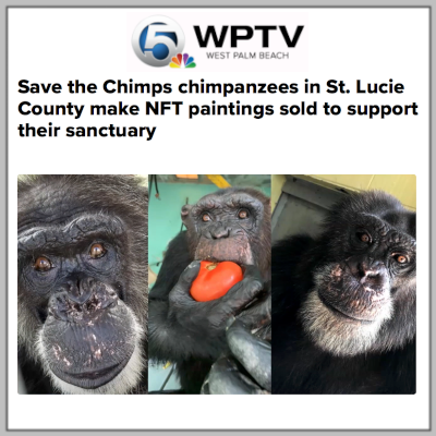 WPTV NBC West Palm Beach: Save the Chimps