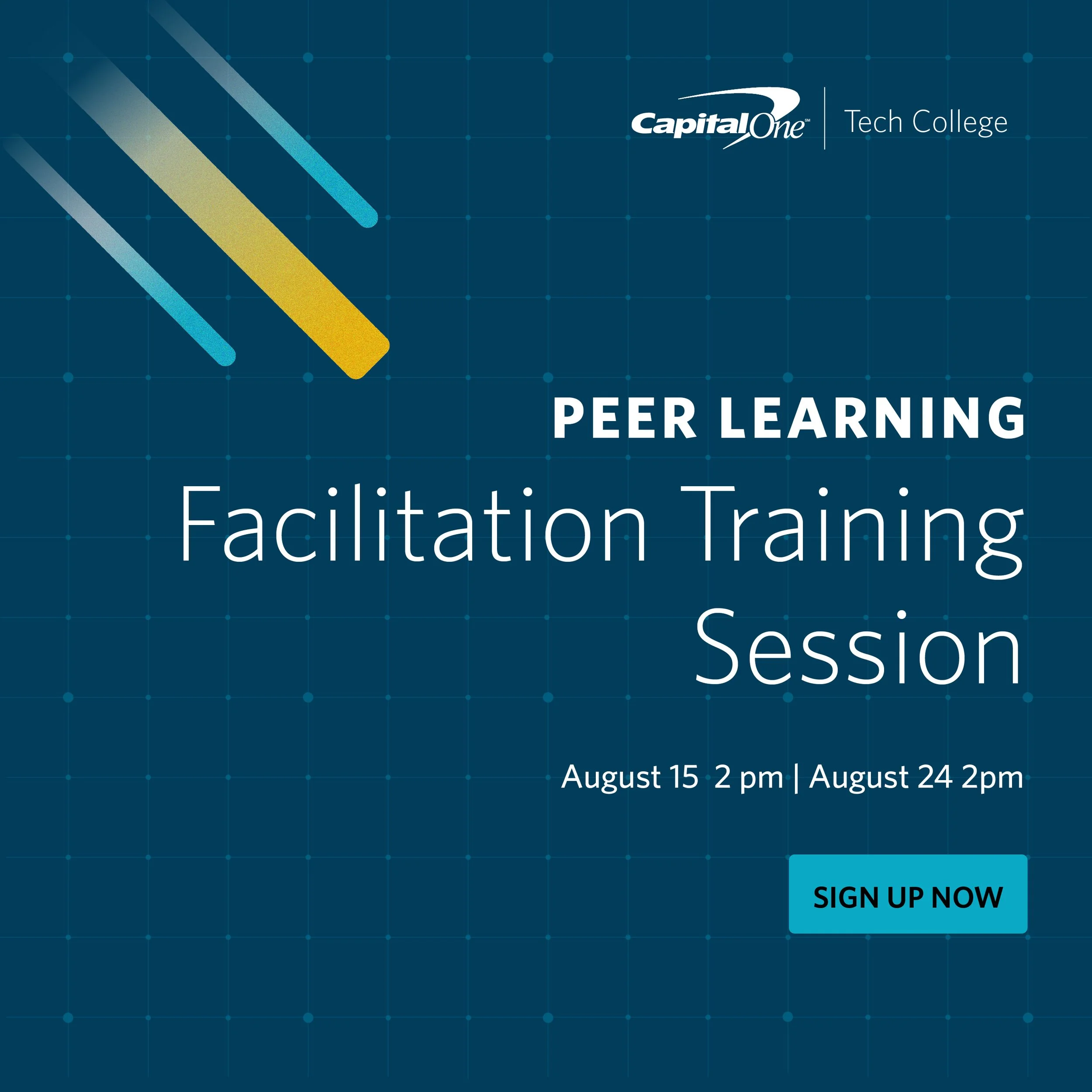 Artboard 11@2x-100.jpg