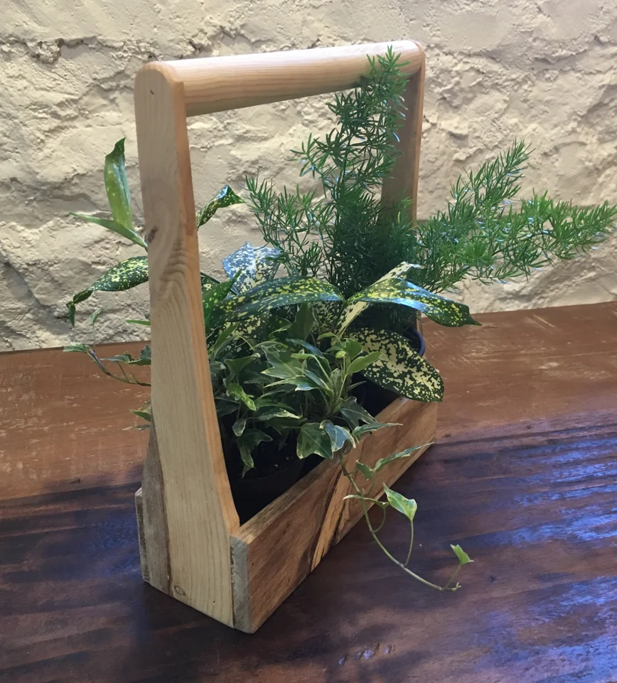 Moving Plants