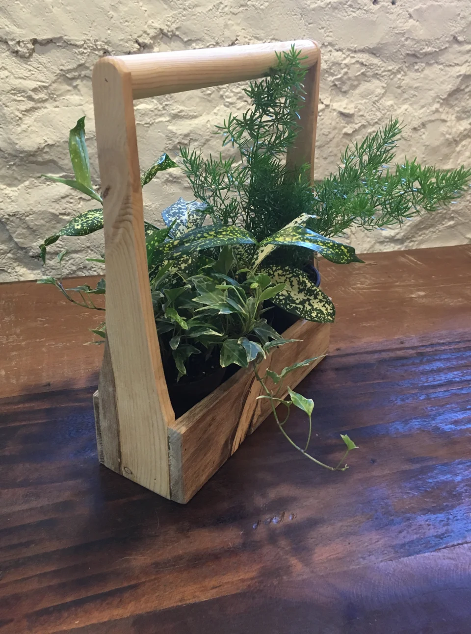 Beetle kill pine caddy - $25