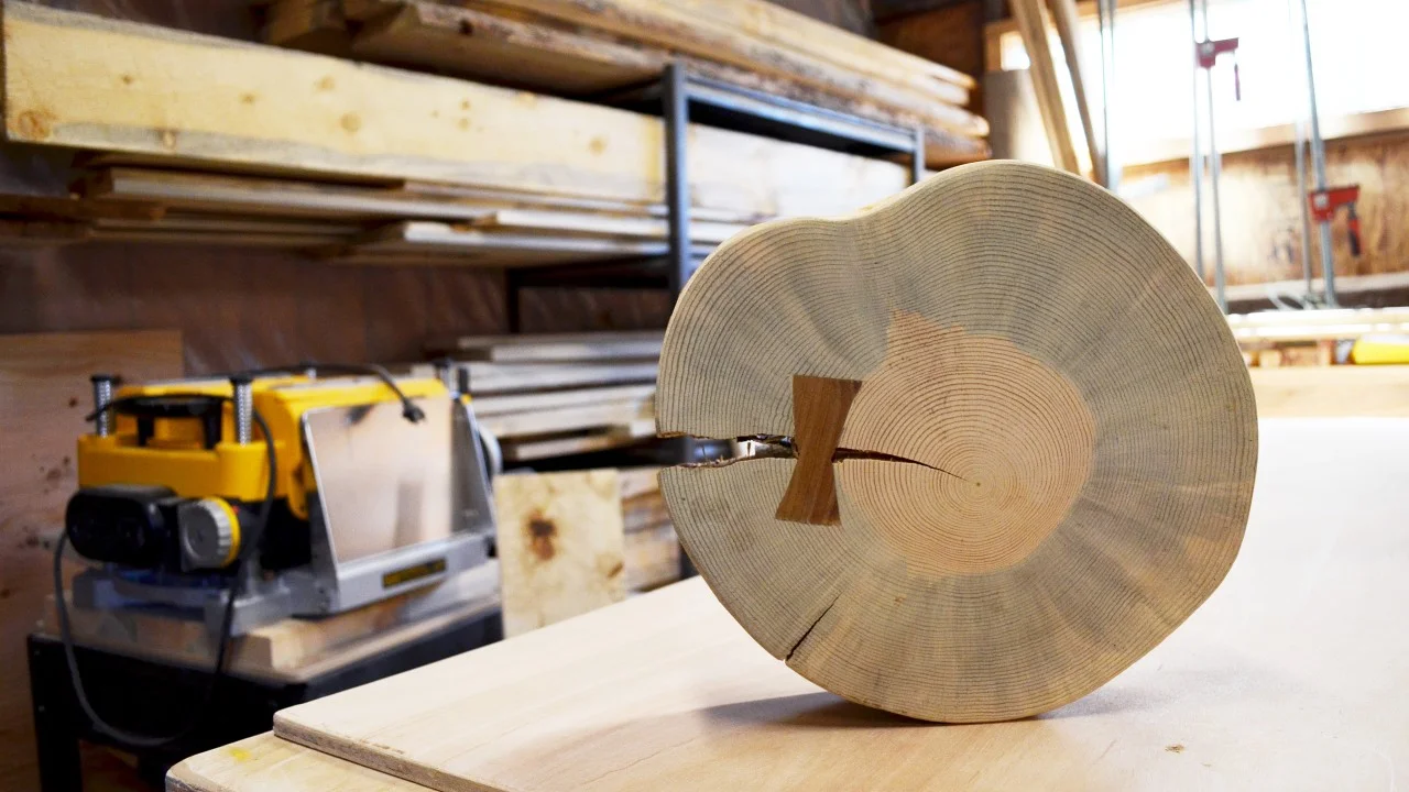 Denver Channel 7 did story on Beetle Kill Pine