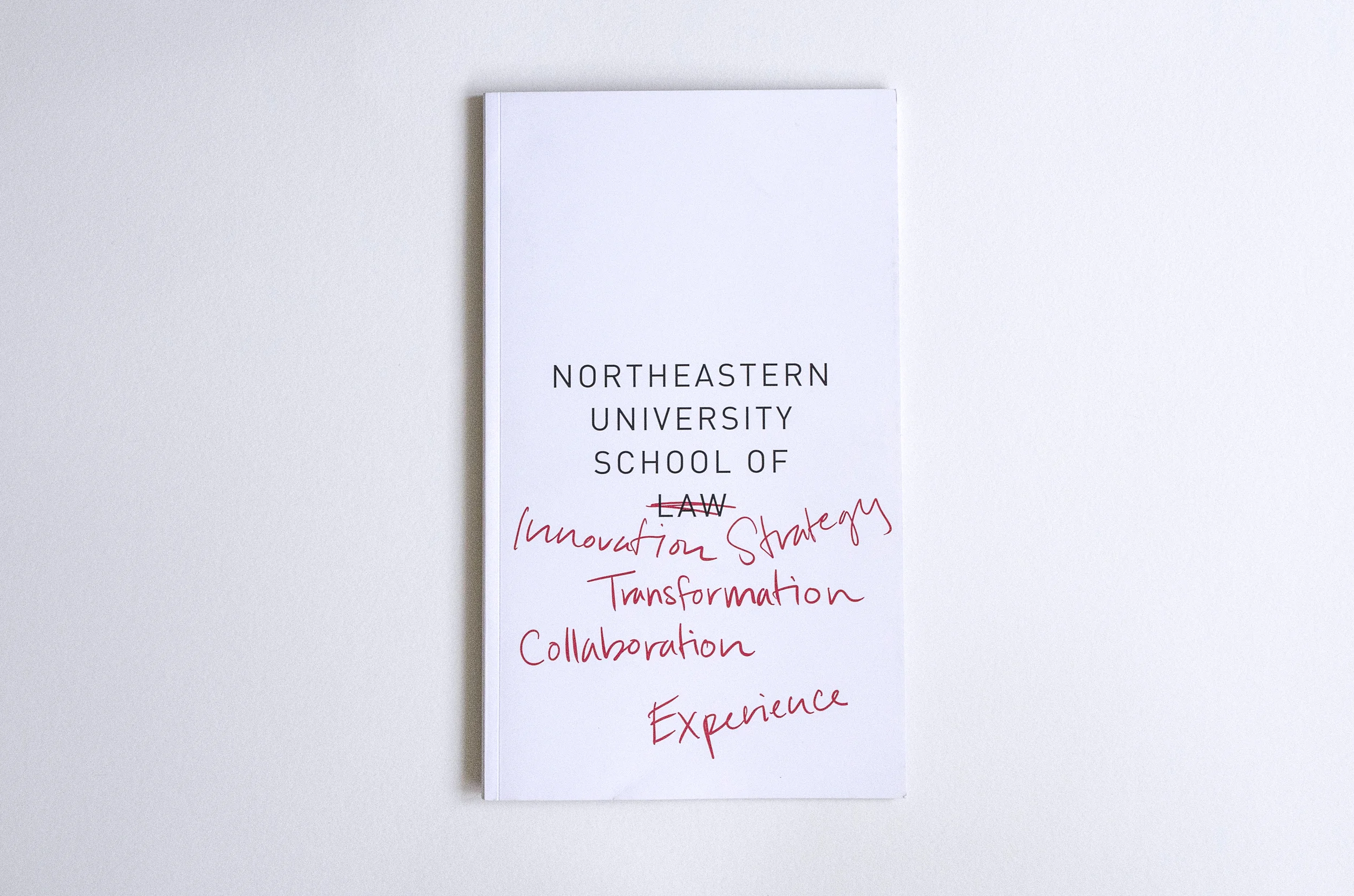 NEUlaw_white3_2.jpg