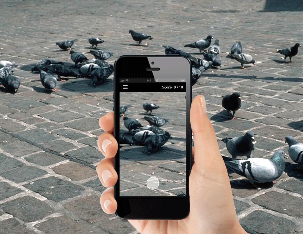 spyventure-app-pigeon_v2.gif