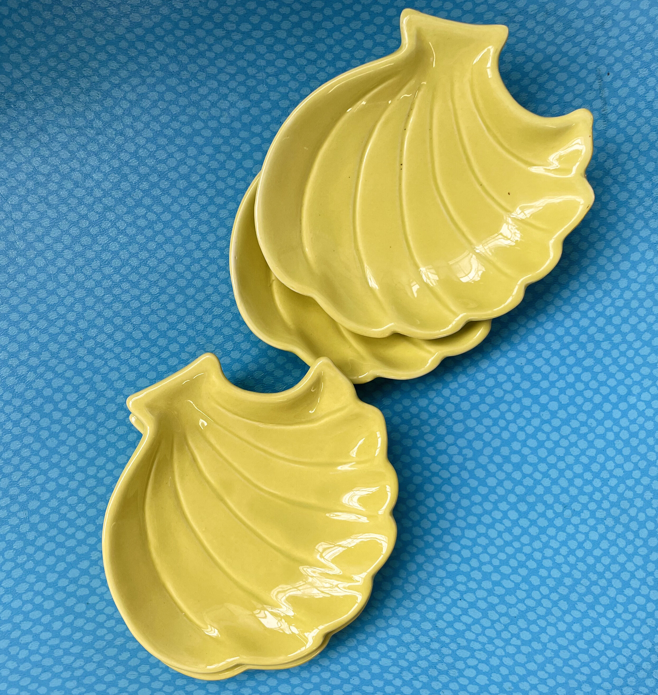 YellowShell2.jpg