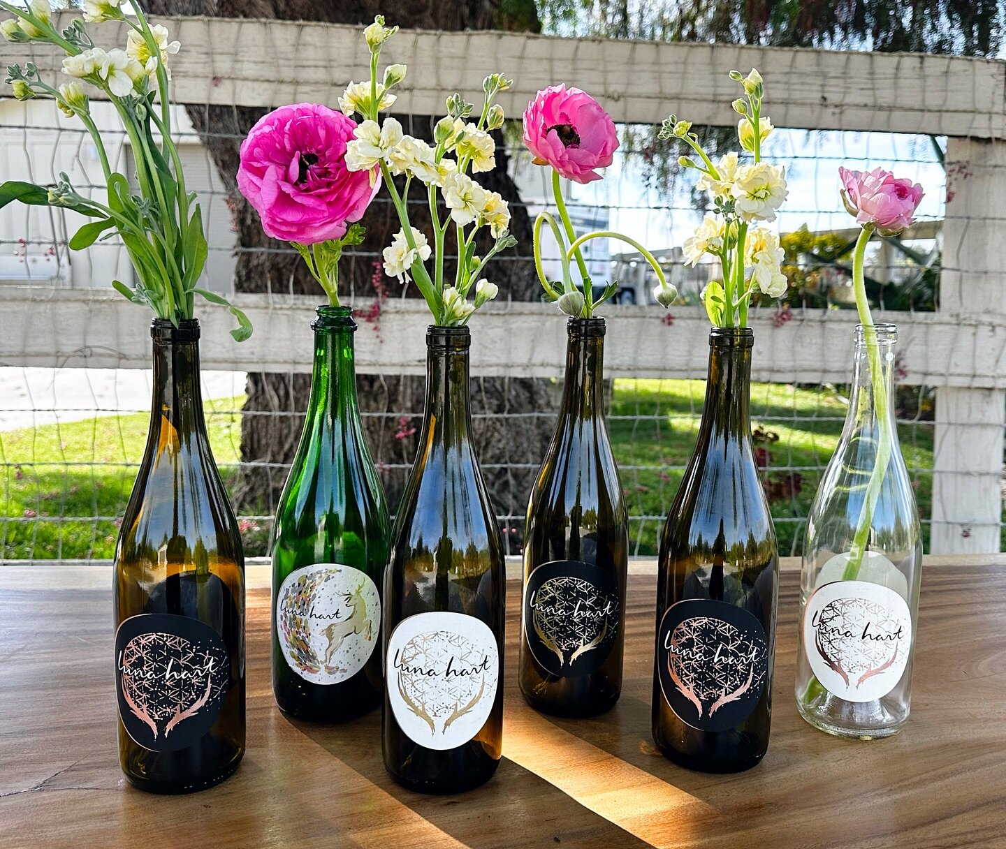 Prepare to embark on a journey of sensory delight as we introduce you to our vibrant Spring Wine Collection. 

Wine club members check your emails these wines are available to exclusively to you during our customization period. 

Not a member of the 