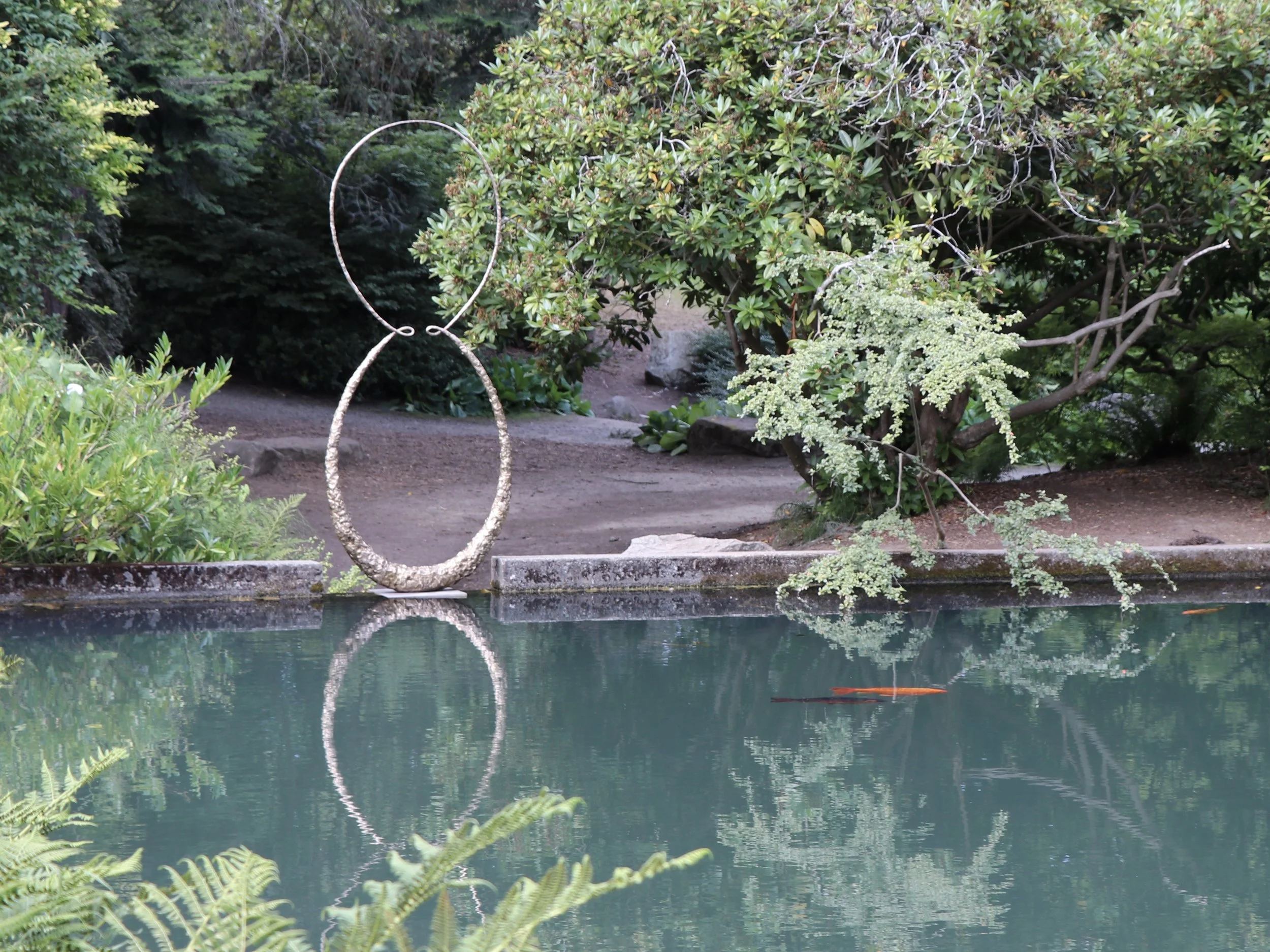 Cycloids of Ceva.JPG