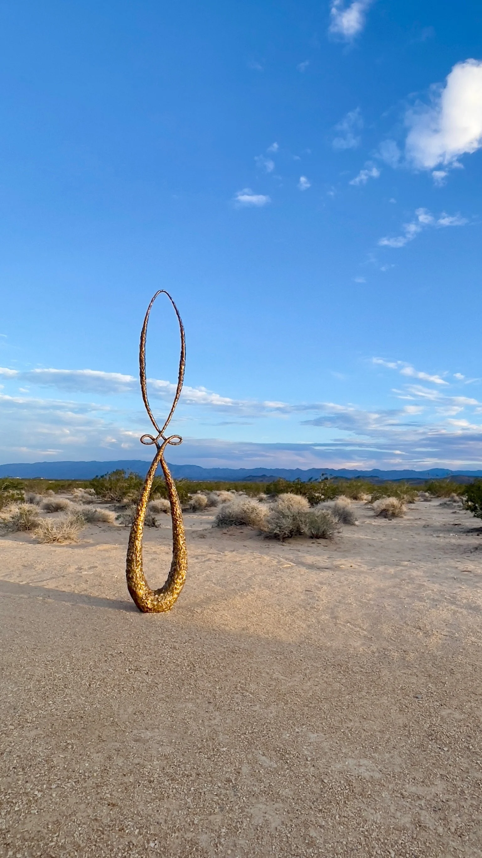 Joshua Tree with Ceva Committing.jpg