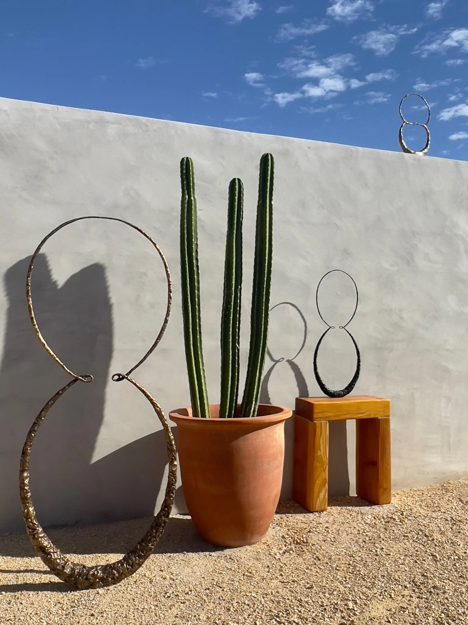 Sculpture in Joshua Tree.jpg
