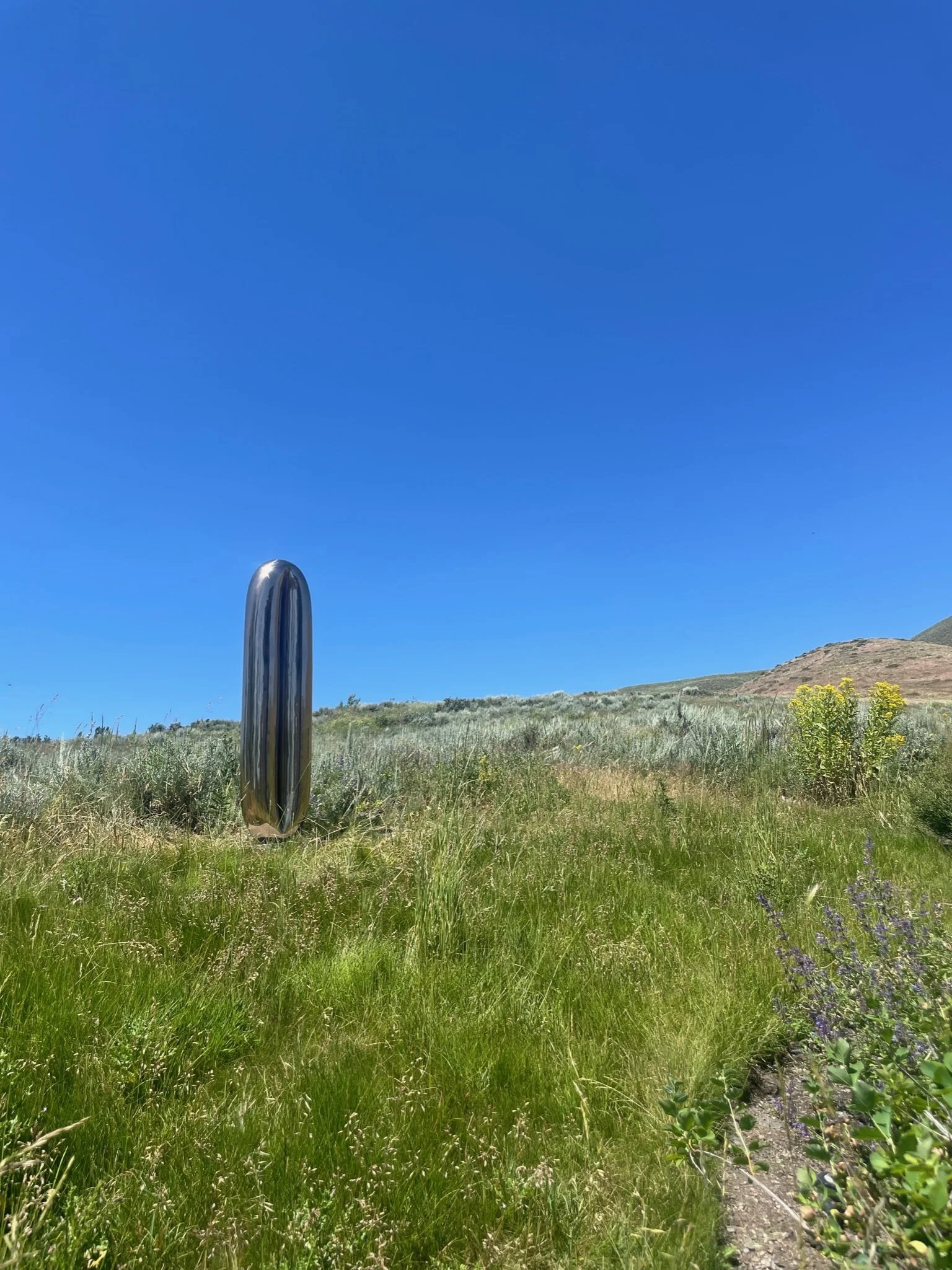 Sun Valley with Vitruvian Breath.JPG