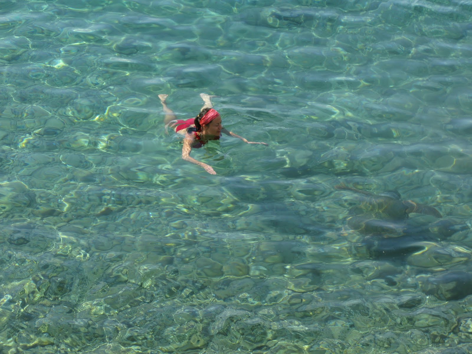 cooling swim in the clear water