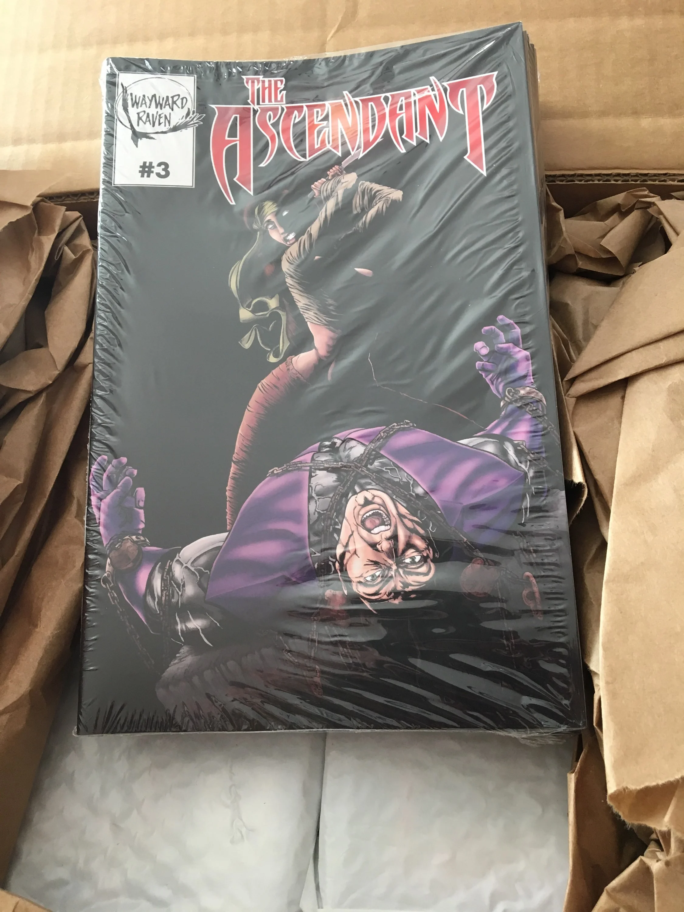 The Ascendant Issue 3. Also new to the con