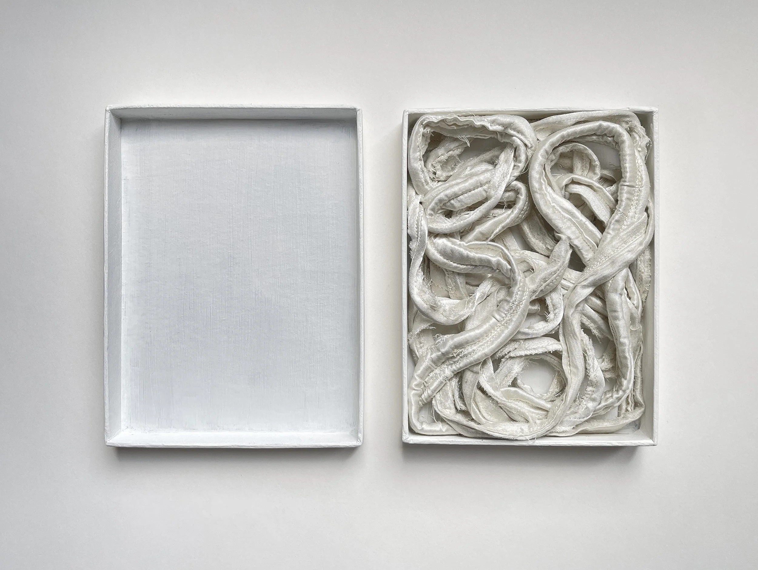   Vestige 01 , contained 