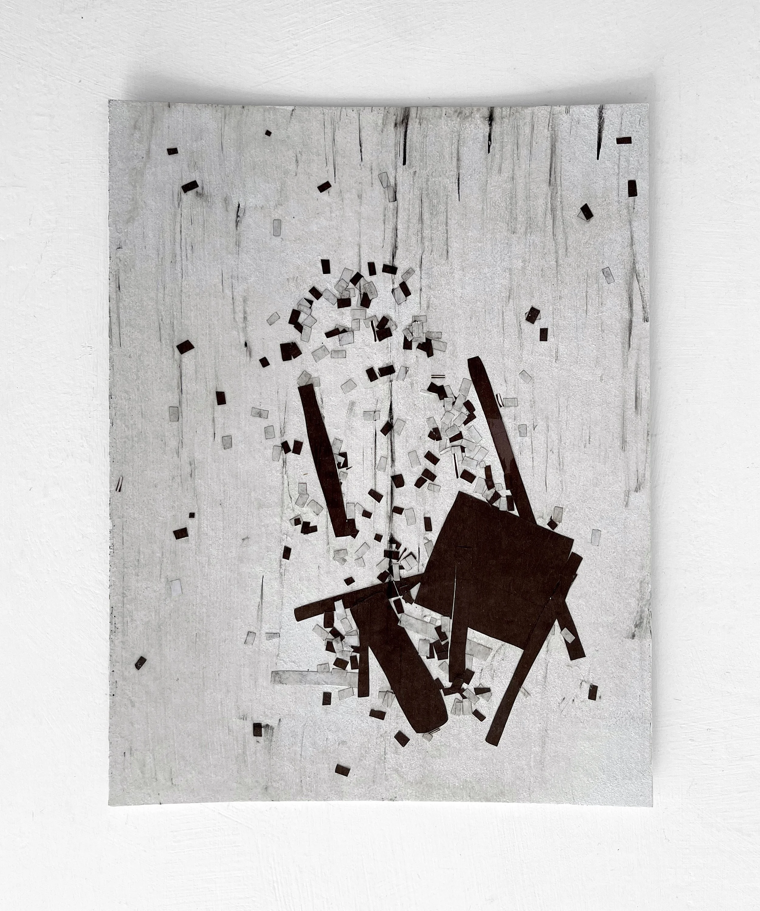   Loaded Forms (Fields), DS-82  