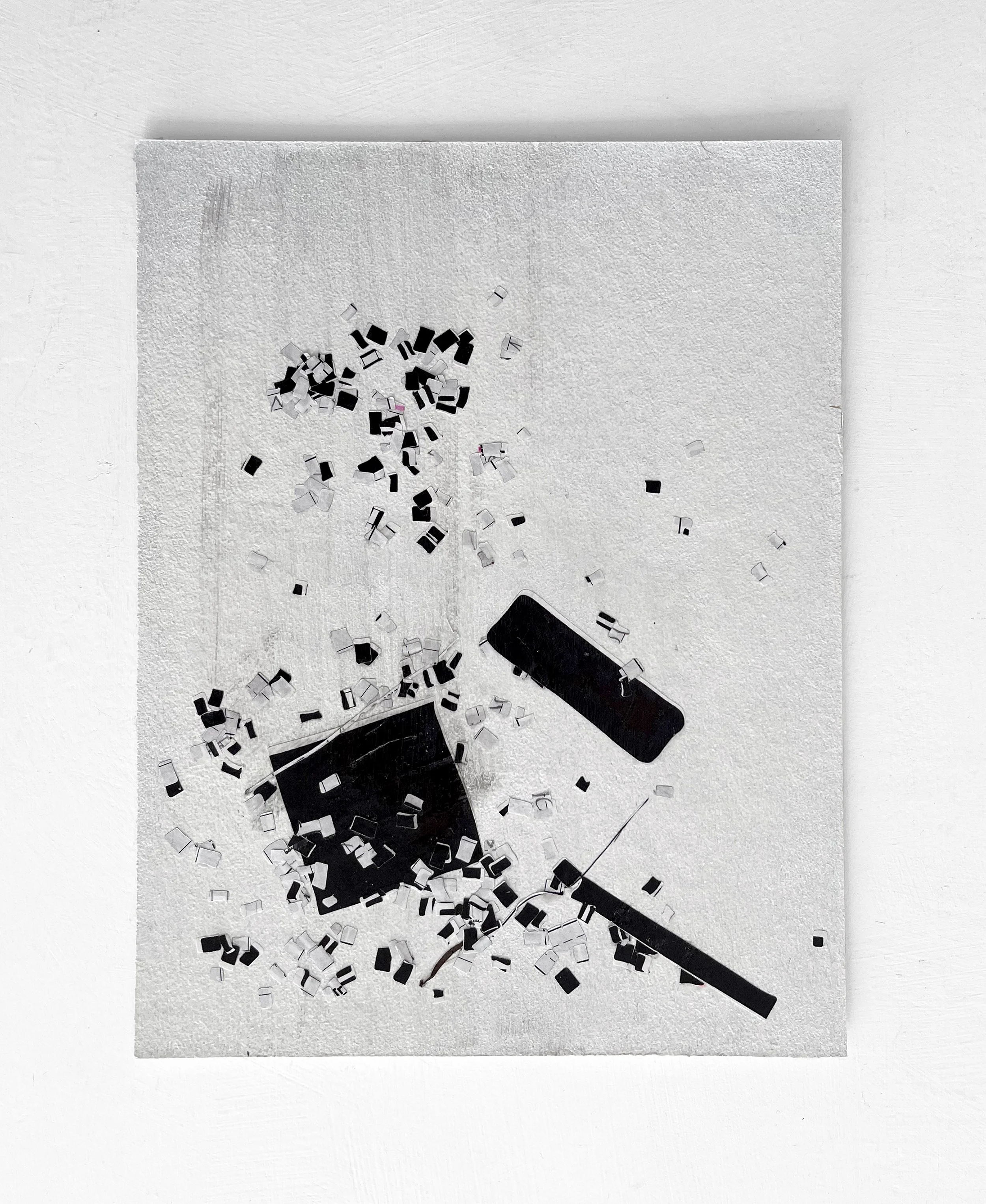   Loaded Forms (Fields), DS-11  