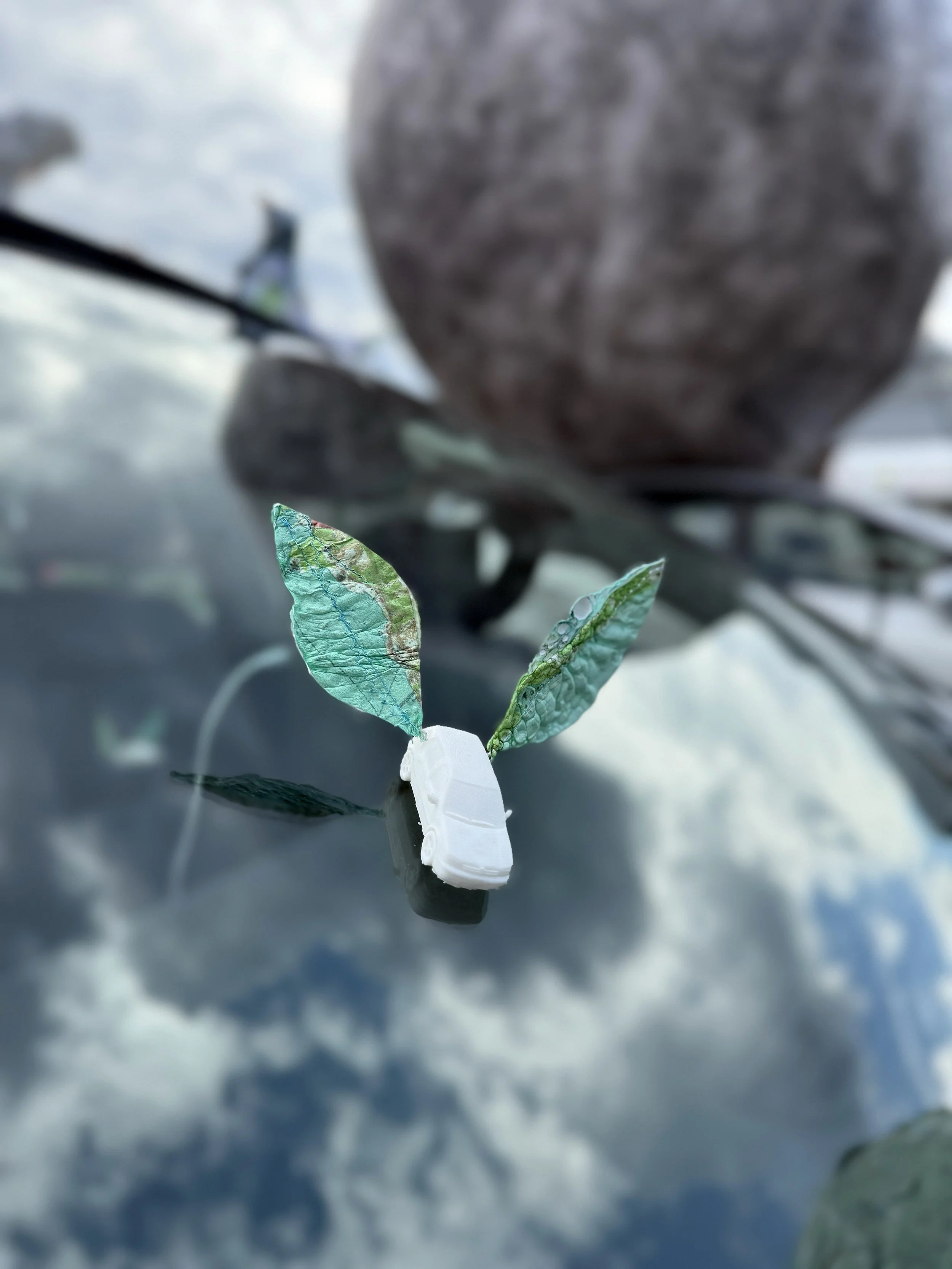 JessBlaustein_TaraLong_FlightMode_RT_IMG_4061_sm.jpeg