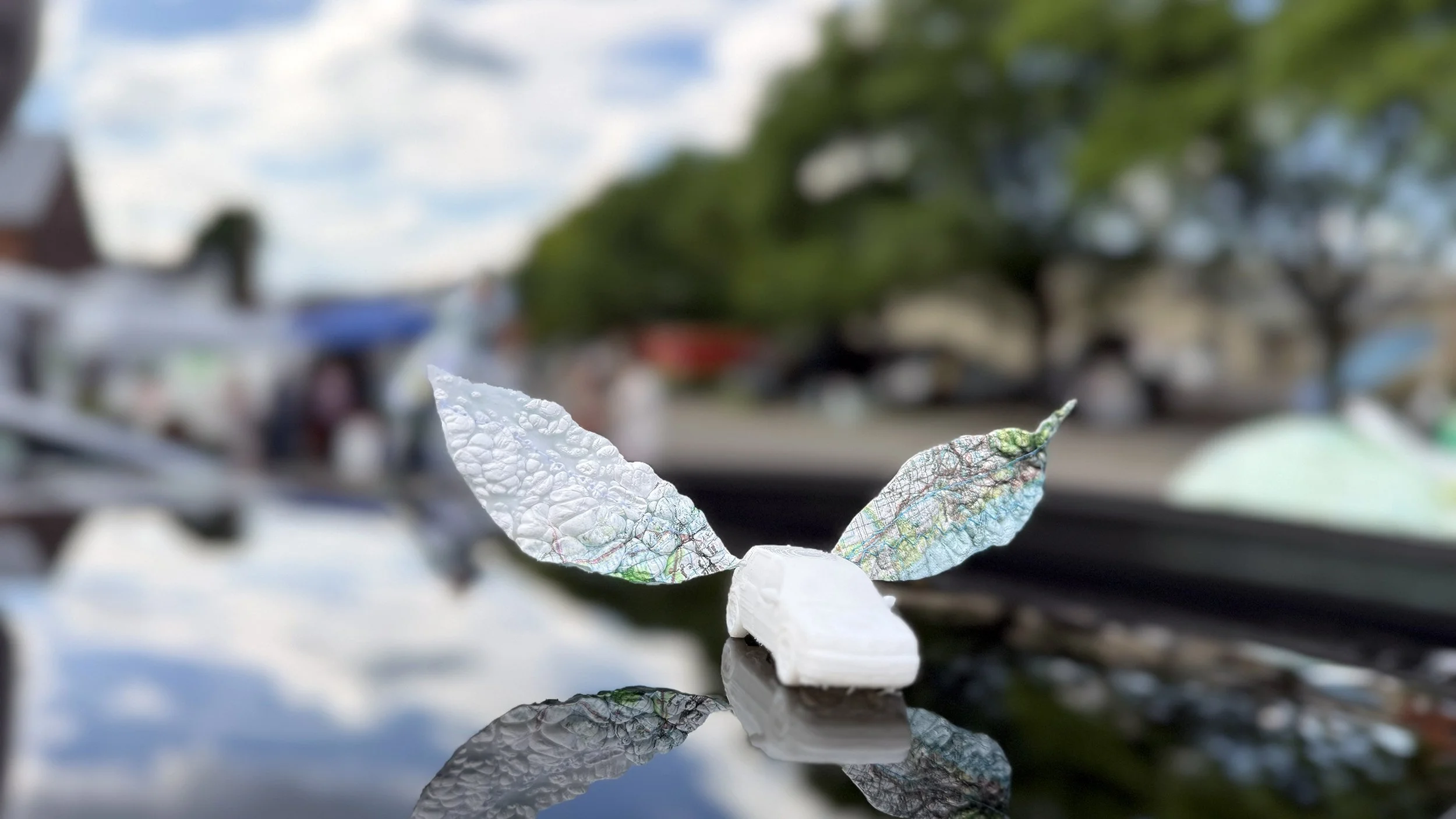 JessBlaustein_TaraLong_FlightMode_RT_IMG_4063_sm.jpeg