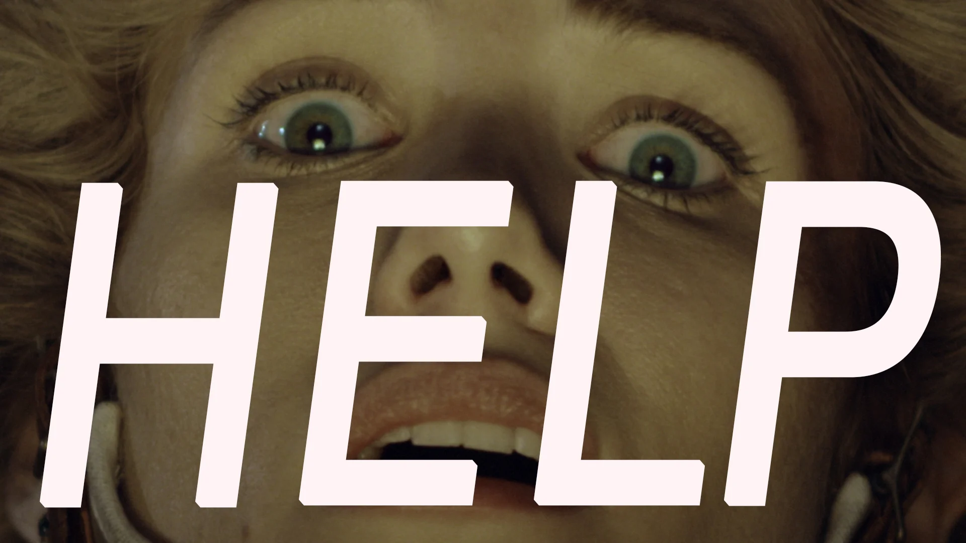 Alanna swovelin. Zoochosis дата выхода. Zoochosis дата выхода. Zoochosis клипы. Thanks smokey dog.