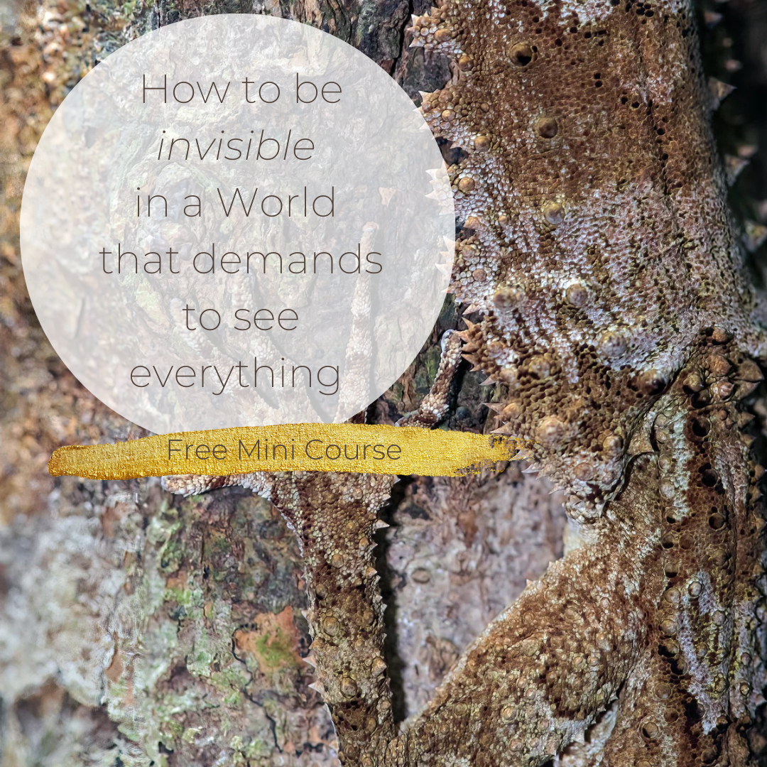 How to be invisible.png