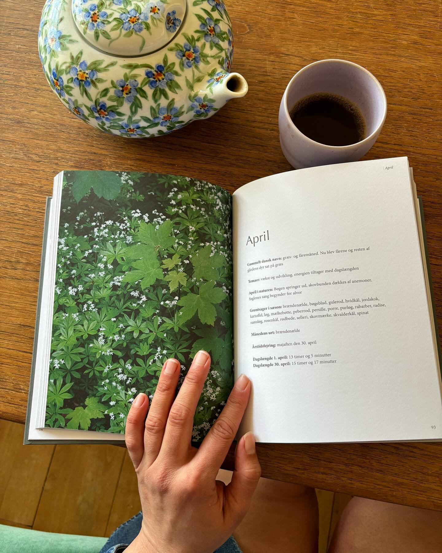 This little beauty is speaking to my senses 🌱 @miagardum &lsquo;s book is an aestheric magical peace. Congratulations Mia, you did so well with this. 💚

The rhubarb is my garden is huge and looking forward to rhubarb -Sweet woodruff recipe!! #refug