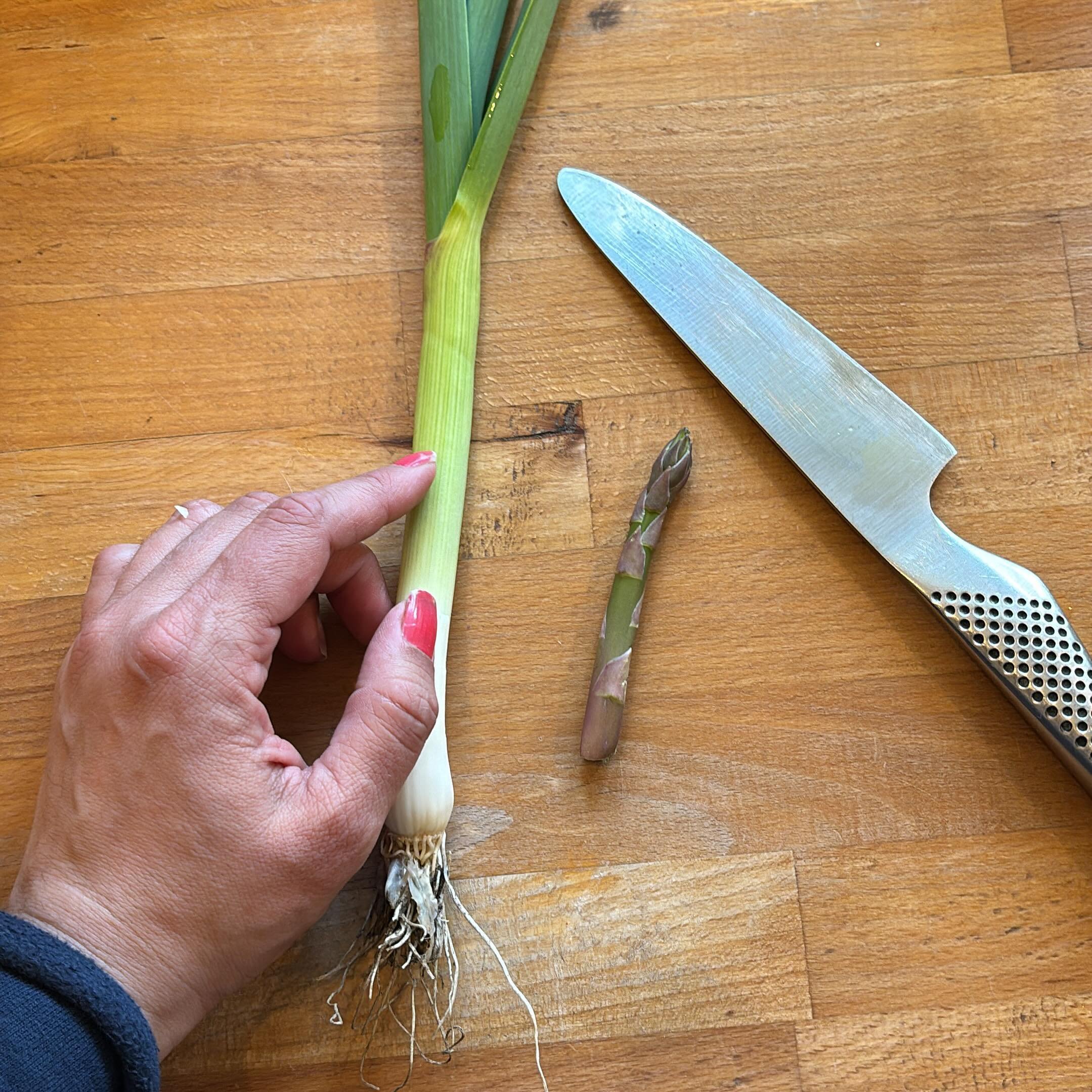 Home grown garlic and half an asparagus we also grew. The cat snapped it off this morning as she rolled around with her mouse breakfast. Naked morning cat chasing is now a thing on this road🌱☀️ &hellip; him not me. 😁 #homegrownforthewin