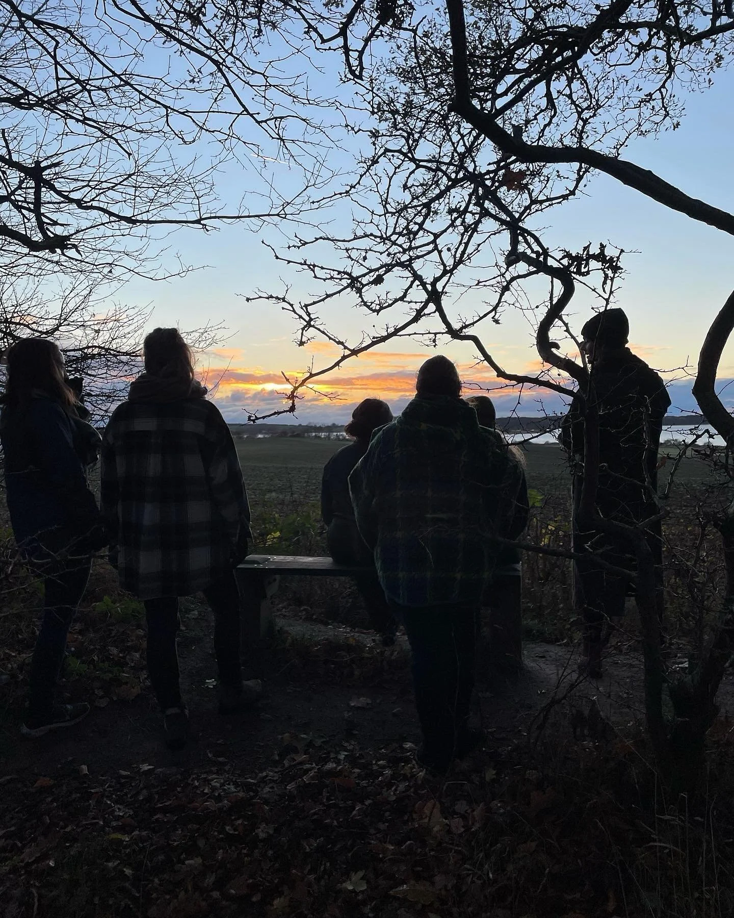 Saturday the Early registration for my Earth Medicine Mentorship (in English) ends. 
I had a lot of pondering over whether to use the word medicine. It has been called that for 8+ years, but I also know that it can create a barrier for some. 
Becaus