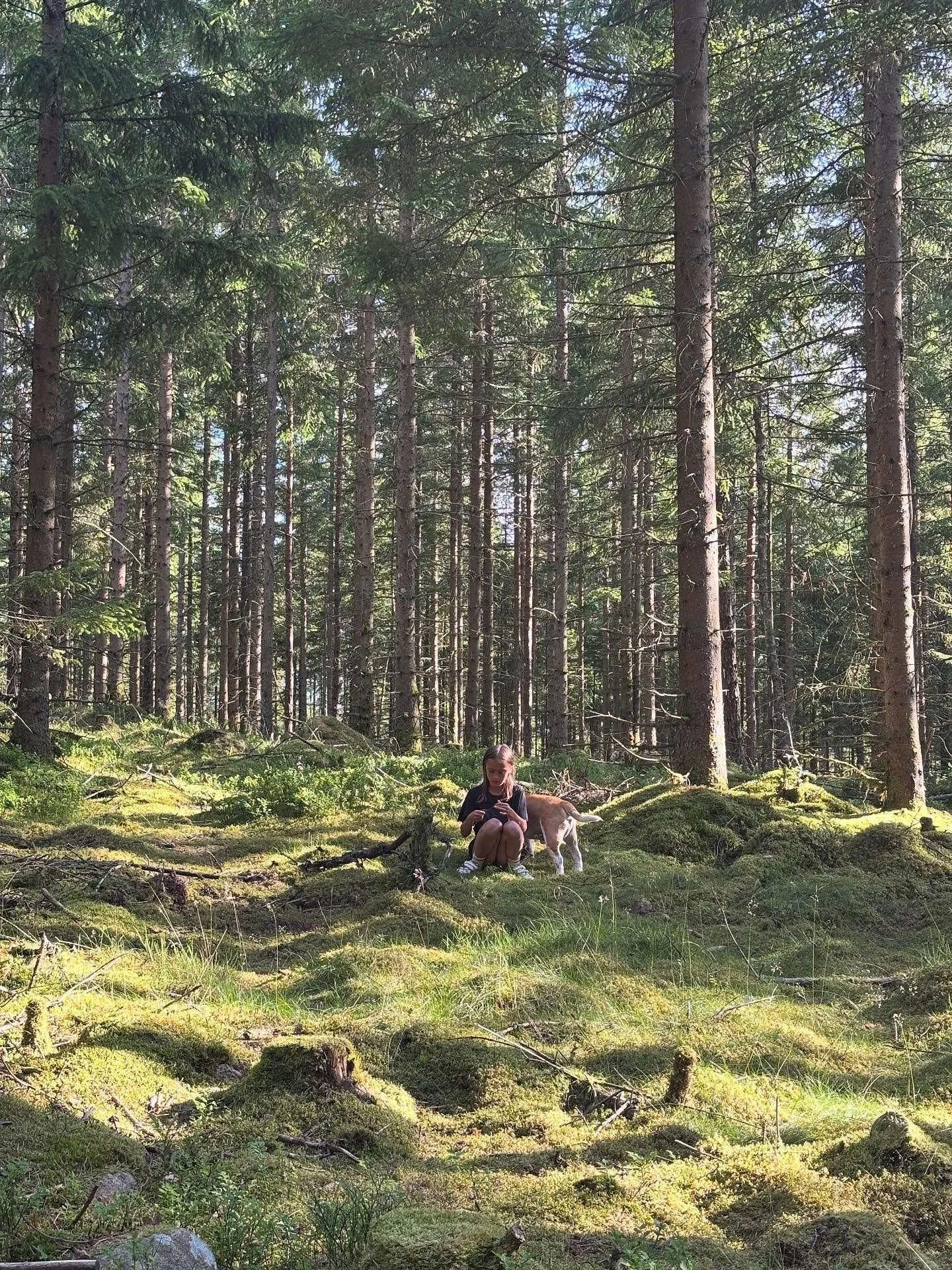 I’ve been very fortunate to have skilled, heartful and fun people to join the mentorship as guest teachers. All in their different field and all three mean a lot to me. Can’t wait to welcome them to do their magic! 🌱
We will be working