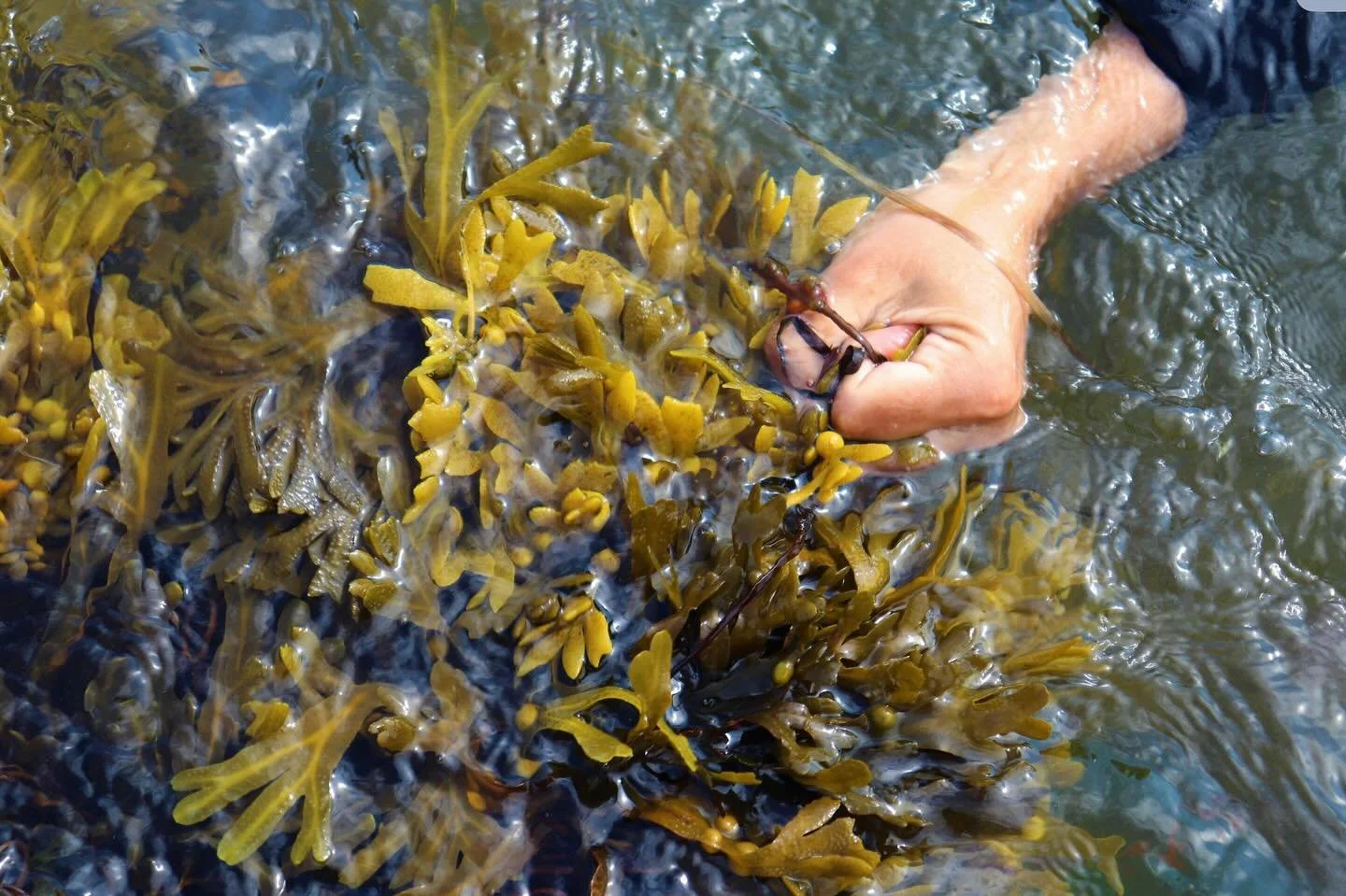 The past three weeks have been like a wild beast with fur and teeth and drool and grunts. They&rsquo;ve been like wind whirling up the soft layer of soil from the ground and spinning it into motion, landing as a earthy crunch between your lips. 

Not