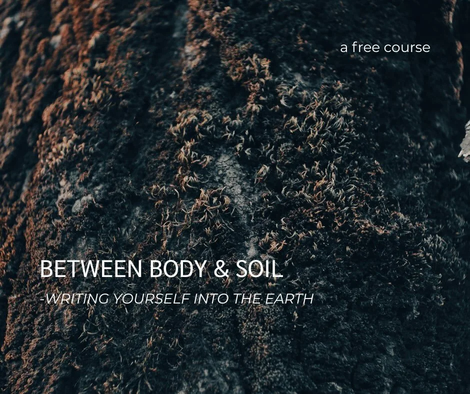 This little free course is an attempt to write some of that into being. 

I believe we need more time to nourish our creativity, and more time to sit with the world&rsquo;s other voices the ones that breathe through trees, water, soil, and weather.  